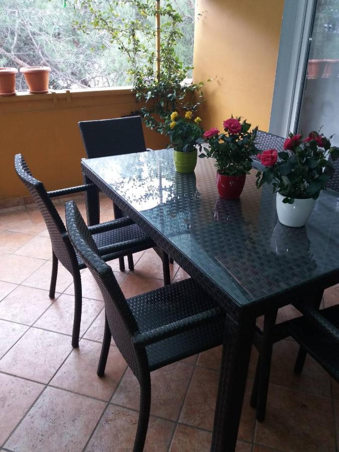 Apartman Lucica Zára Kültér fotó